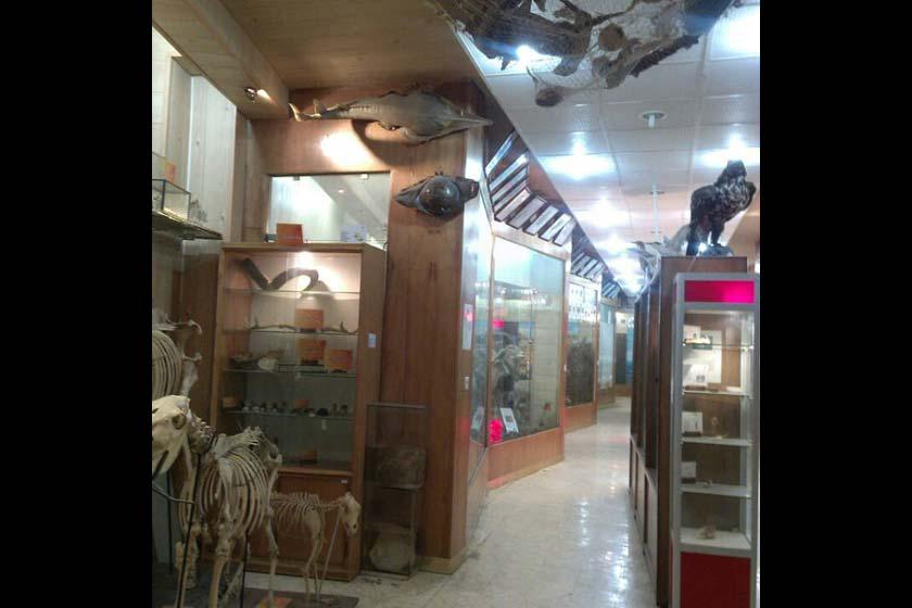 موزه تاریخ طبیعی دانشگاه اراک - اراک (m89272)|ایده ها