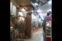 موزه تاریخ طبیعی دانشگاه اراک - اراک (m89272)