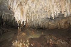 غار ویشو - جهرم (m91183)