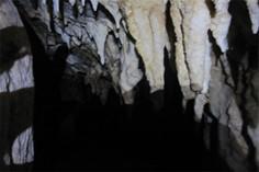 غار ویشو - جهرم (m91184)