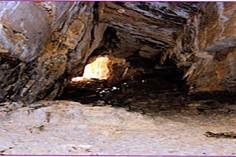 غار بام بامه - رامسر (m90486)