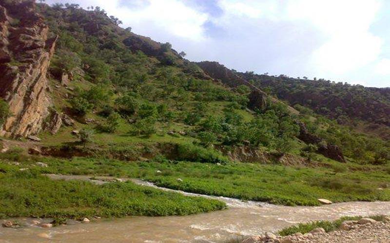 روستا ناو تنگ منصوری - اسلام آباد غرب (m88244)|ایده ها