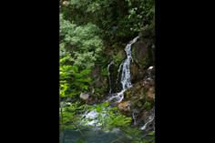 آبشارهای دره سبز رود - سرایان (m93433)