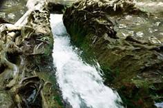 آبشار نیاسر - کاشان (m88388)