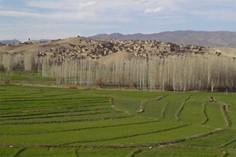 روستای نمونه گردشگری کوهسرخ - کاشمر (m93934)