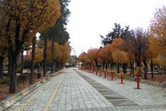باغ ملی شیراز - شیراز (m87446)