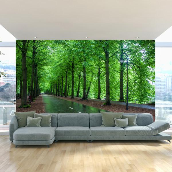پوستر دیواری سه بعدی طرح جنگل کد ITT13|دیجی‌کالا