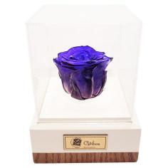 جعبه گل ماندگار گیتی باکس مدل رز جاودان آبی تیره افرا