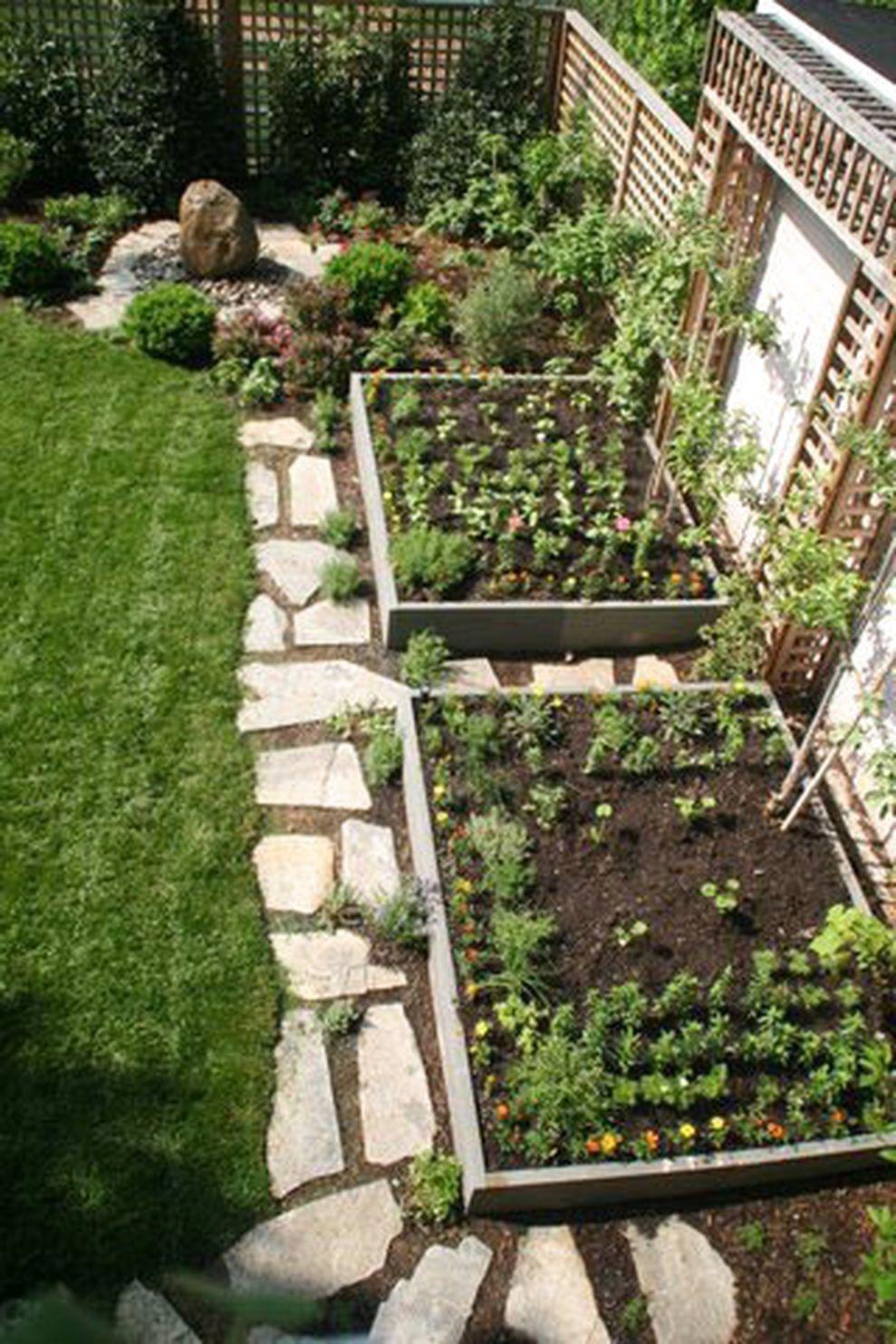 طراحی باغچه در حیاط (m215646)|ایده ها