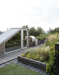 طراحی باغچه پشت بام (m216779)