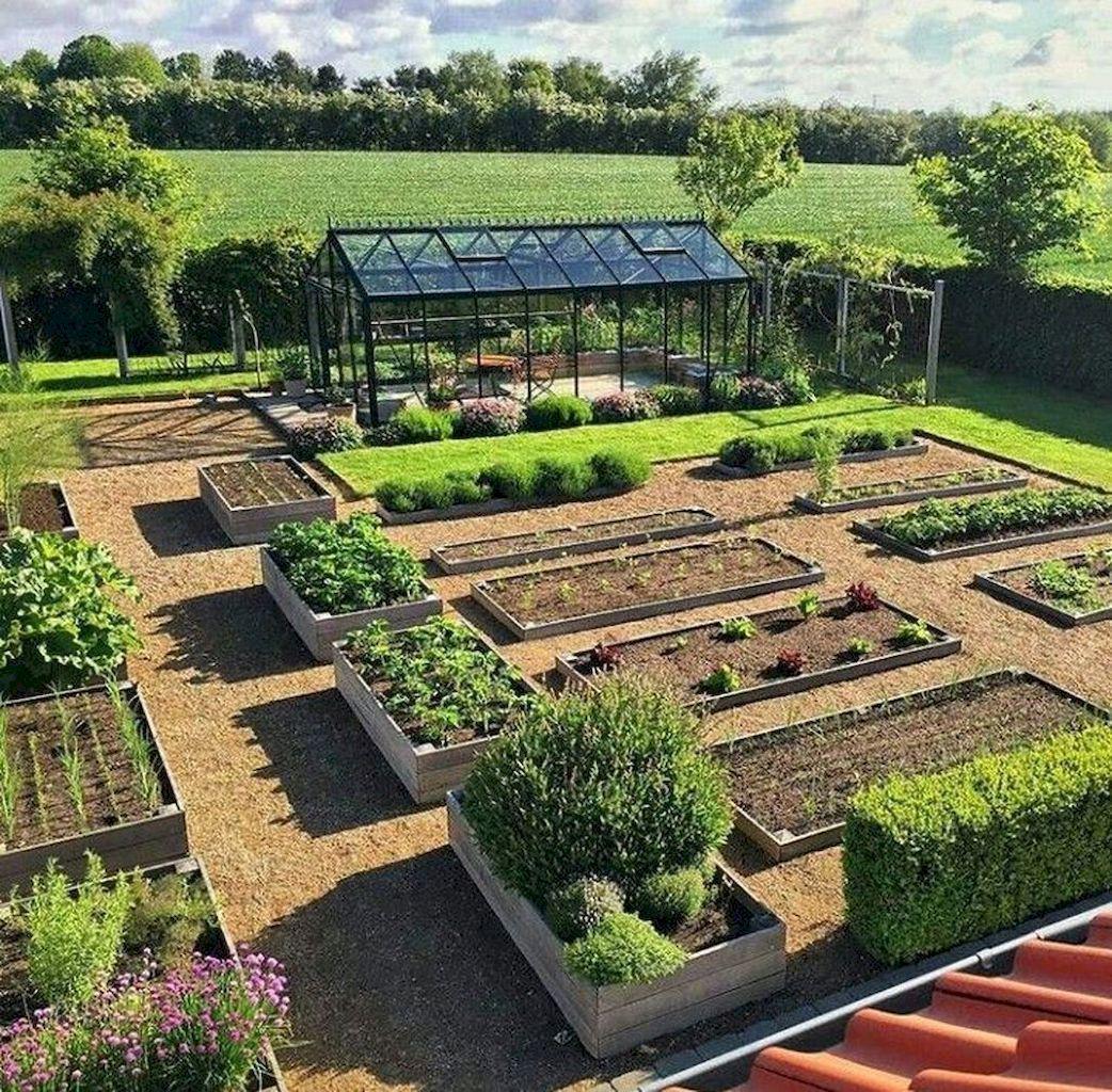 طراحی باغچه خانه (m217879)|ایده ها