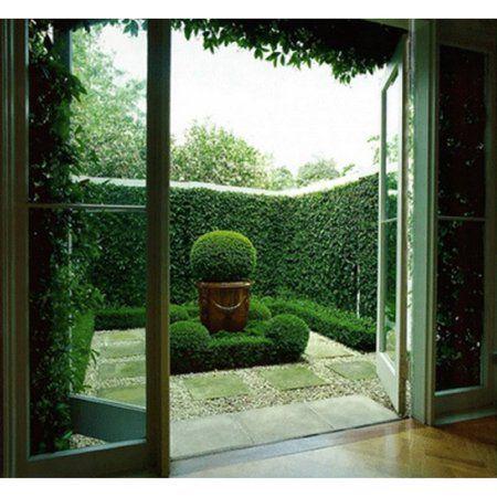 طراحی باغچه خانه (m217878)|ایده ها