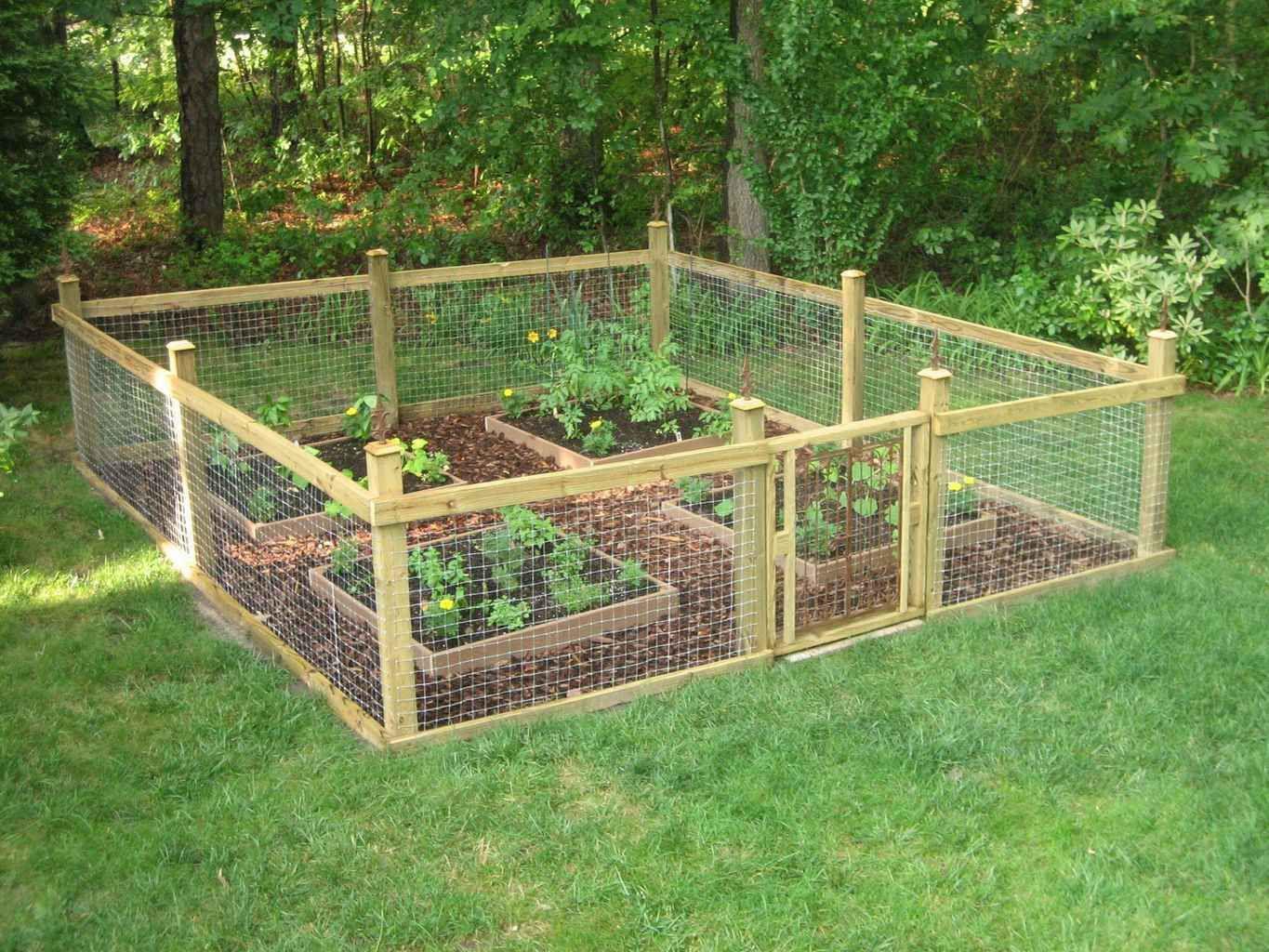 طراحی باغچه در حیاط (m225714)|ایده ها