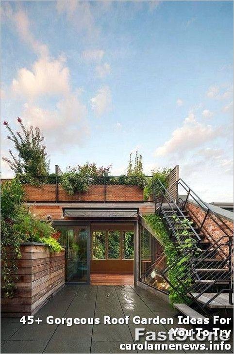 طراحی باغچه پشت بام (m225570)|ایده ها