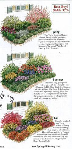 طراحی باغچه در حیاط (m227448)