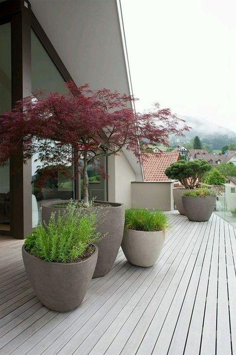 طراحی باغچه پشت بام (m230576)|ایده ها