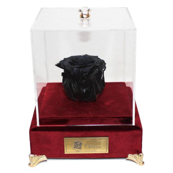 جعبه تک گل ماندگار گیتی باکس مدل رز جاودان مشکی لاکچری آکاژو|دیجی‌کالا