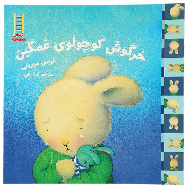 کتاب مهارت های زندگی 47 خرگوش کوچولو غمگین اثر تریس مورونی|دیجی‌کالا