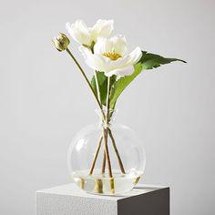 گلدان شیشه ای گرد (m313296)