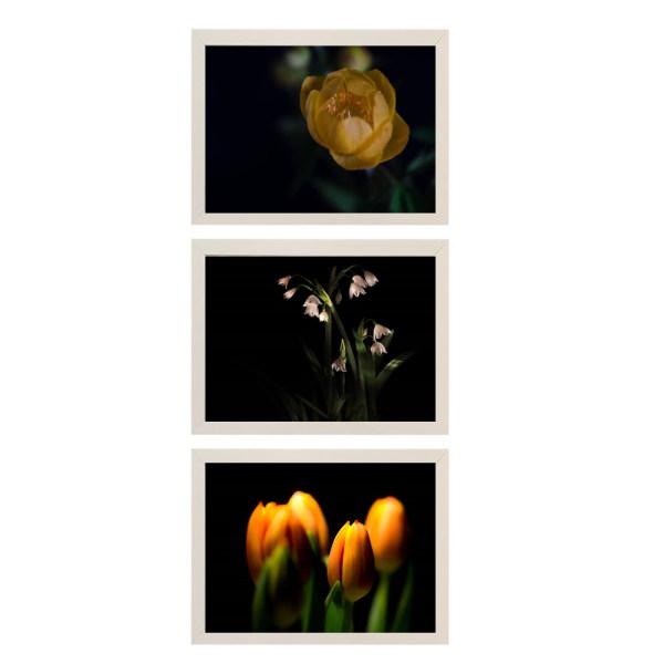 تابلو طرح گل بهاری کد 215106w3 مجموعه 3 عددی|دیجی‌کالا