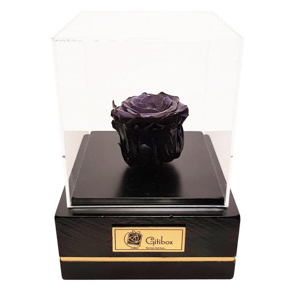 جعبه گل ماندگار گیتی باکس مدل رز جاودان مشکی کاج|دیجی‌کالا