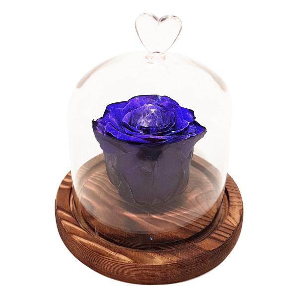 جعبه گل ماندگار گیتی باکس مدل رز جاودان آبی تیره مینا|دیجی‌کالا