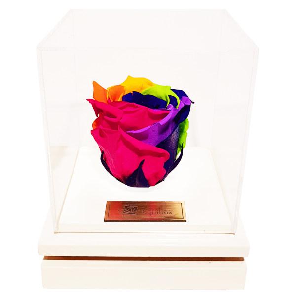 جعبه گل ماندگار گیتی باکس مدل رز جاودان 7 رنگ بالسا|دیجی‌کالا