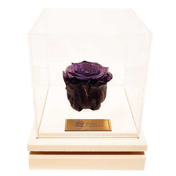 جعبه گل ماندگار گیتی باکس مدل رز جاودان مشکی بالسا|دیجی‌کالا
