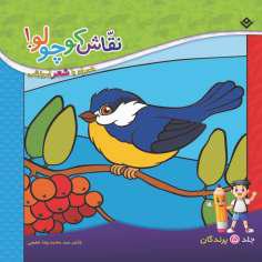 کتاب نقاش کوچولو! همراه با شعر آموزشی پرندگان اثر سیّد محمدرضا شفیعی انتشارات برف جلد ۵