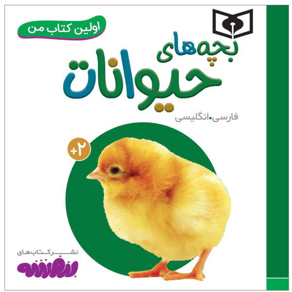کتاب اولین کتاب من بچه های حیوانات اثر سجاد حاجی علی انتشارات قدیانی|دیجی‌کالا
