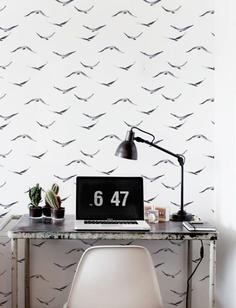 کاغذ دیواری , طرح پرندگان , طرح پرنده , کد (m496168)
