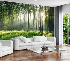 کاغذ دیواری , سبز , هنری , طرح جنگل , اتاق خواب , طرح درخت , کد (m495965)