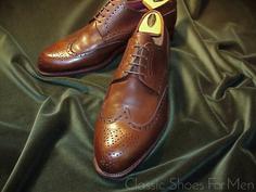 تصویر مدل کفش مردانه 509499