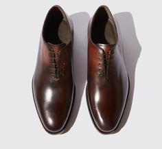 تصویر مدل کفش مردانه 508024