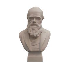 تندیس مدل چارلز داروین