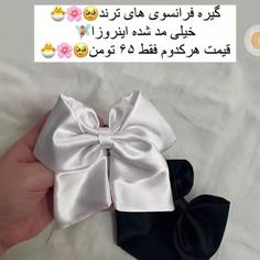 گیره مو ترند فرانسوی