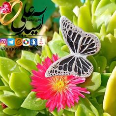 گوشواره نقره دستساز طرح پروانه مدل میخی با عیار 925