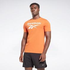 تیشرت مردانه ریباک مدل Reebok Apparel Men’s Ri Big Logo Tee hs4979