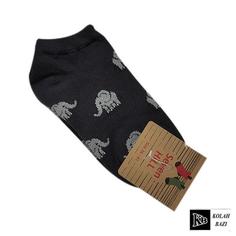 جوراب jr291 Socks jr291