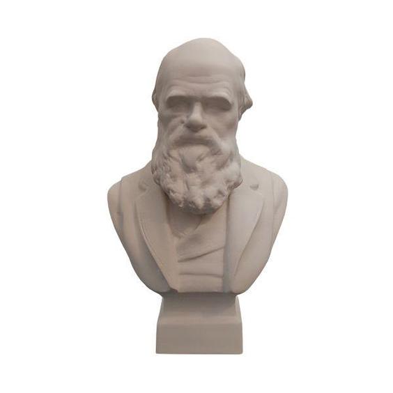 تندیس مدل چارلز داروین|دیجی‌کالا