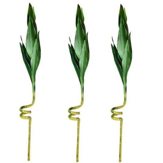 گل مصنوعی مدل شاخه بامبو پیچی NICE-1027 مجموعه 3 عددی|دیجی‌کالا