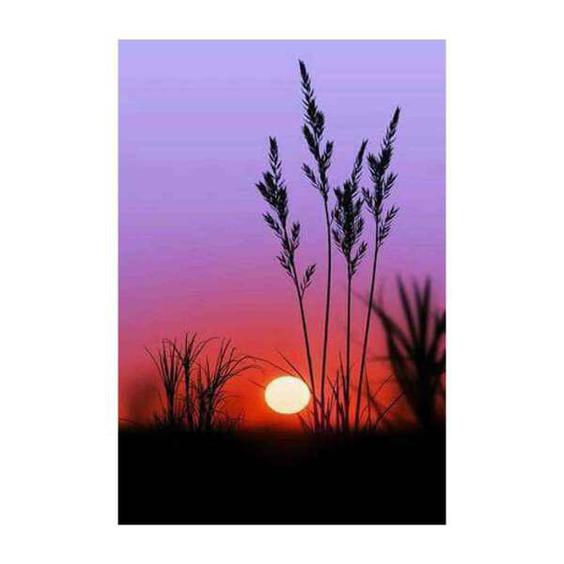 کارت پستال رادکس طرح غروب خورشید مدل S681|دیجی‌کالا