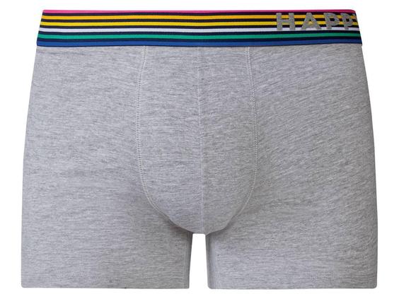 شورت پادار (باکسر) مردانه برند هپی شورتس کد ۳۶۴۹۳۴۱ Mens boxers|کی استوک