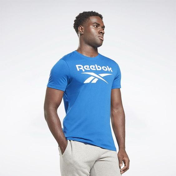 تیشرت مردانه ریباک مدل Reebok Identity Big Logo T-Shirt in Vector Blue hs4977|تهران ریبوک