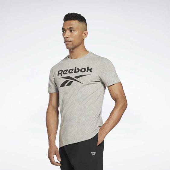 تیشرت مردانه ریباک مدل Reebok Graphic Series Stacked Men’s T-shirt Grey HD4219|تهران ریبوک