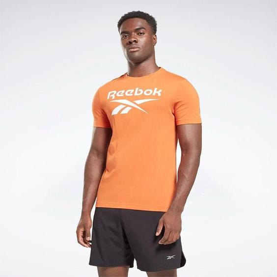 تیشرت مردانه ریباک مدل Reebok Apparel Men’s Ri Big Logo Tee hs4979|تهران ریبوک