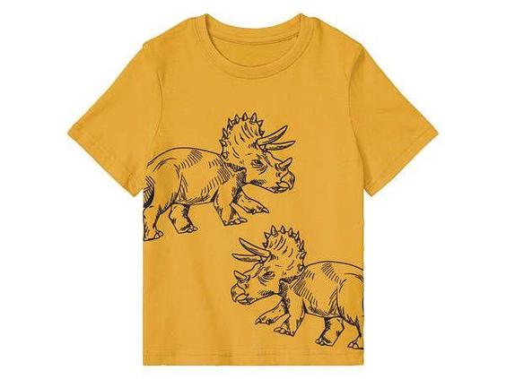 تیشرت پسرانه برند لوپیلو کد ۴۳۲۴۹۵ Boys T-Shirt|کی استوک