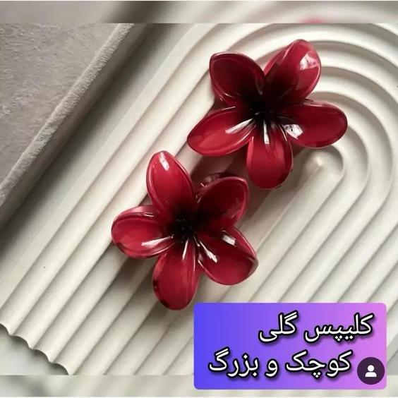 کلیپس گلی |باسلام